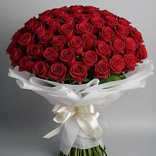 Букет 101 Красная роза Блэк Мэджик в Верещагино