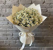 Букет цветов из:  Ромашки #REPLACE_PRED# Верещагино