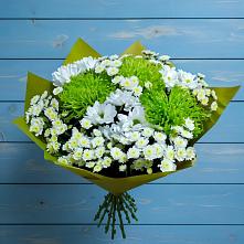 Букет цветов из:  Хризантемы #REPLACE_PRED# Верещагино