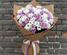 Букет цветов из:  Хризантемы #REPLACE_PRED# Верещагино