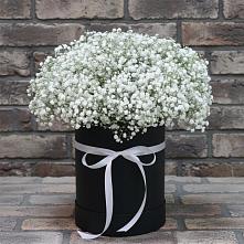 Цветочная композиция из Гипсофила в шляпной коробке #REPLACE_PRED# Верещагино