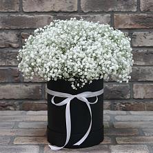Цветочная композиция из Гипсофила в шляпной коробке в Верещагино