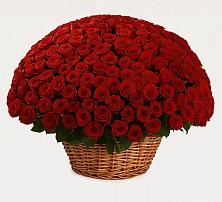 Премиум букет из: Розы в Верещагино