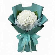 Букет цветов из:  Гортензия в Верещагино